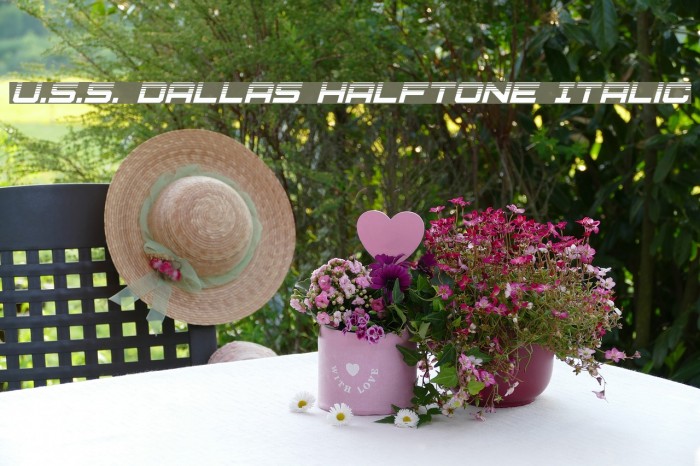 U.S.S. Dallas Halftone Italic Font examples