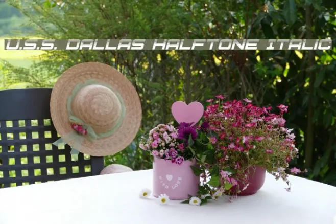 U.S.S. Dallas Halftone Italic Example 2