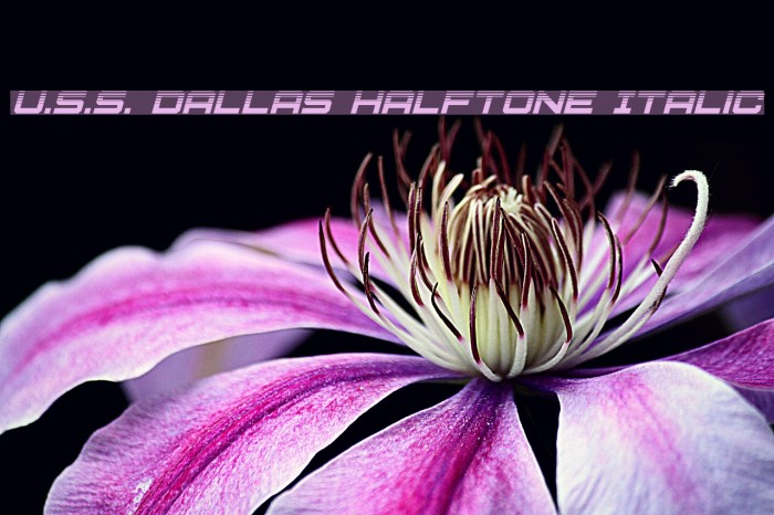 U.S.S. Dallas Halftone Italic Font examples