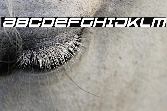 U.S.S. Dallas Italic Example 3