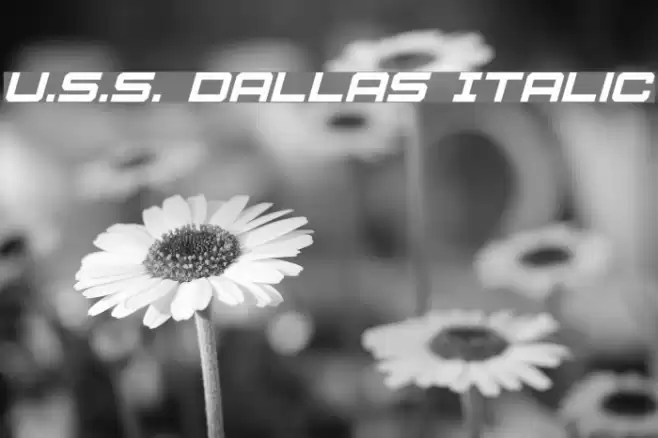 U.S.S. Dallas Italic Font examples