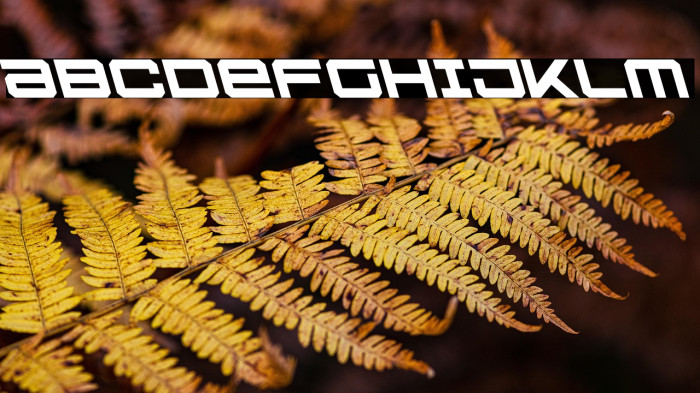 U.S.S. Dallas Leftalic Example 2