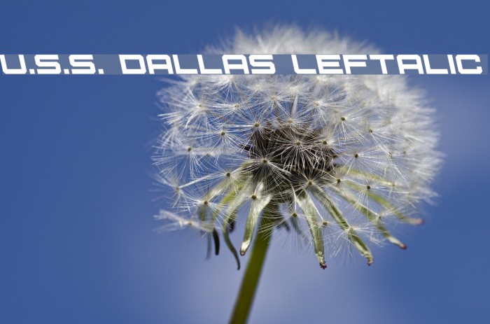 U.S.S. Dallas Leftalic Шрифта examples