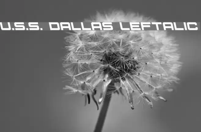U.S.S. Dallas Leftalic Font examples