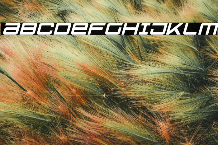 U.S.S. Dallas Light Italic Example 3