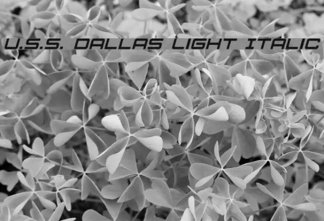 U.S.S. Dallas Light Italic Fuentes examples