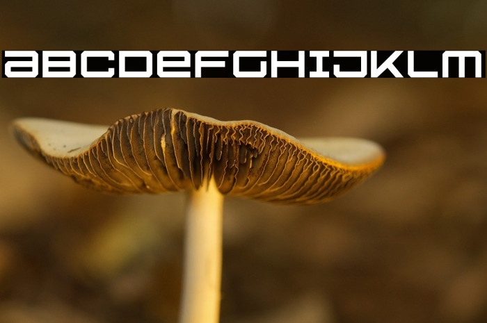 U.S.S. Dallas Light Example 3