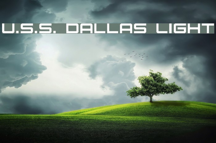 U.S.S. Dallas Light Font examples