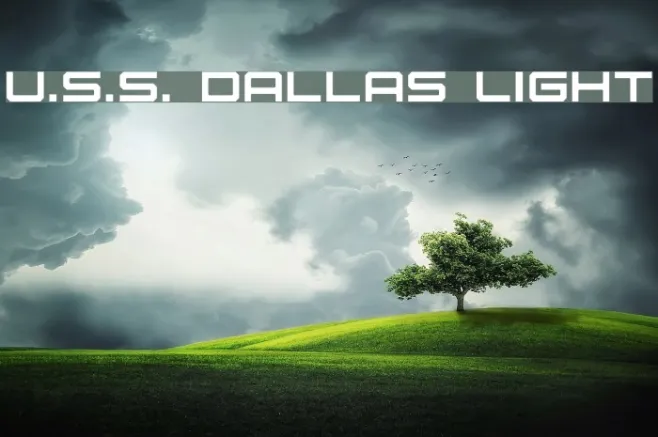 U.S.S. Dallas Light Example 3