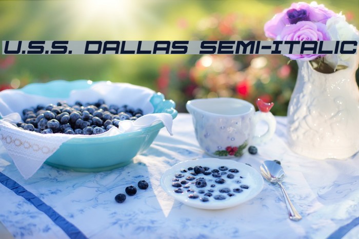 U.S.S. Dallas Semi-Italic Example 3
