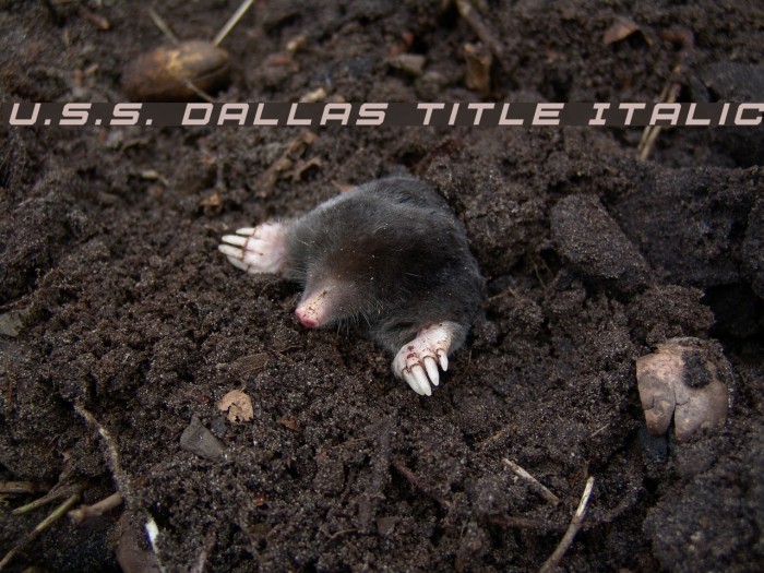 U.S.S. Dallas Title Italic Font examples