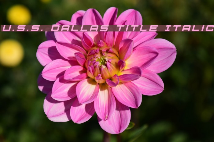 U.S.S. Dallas Title Italic Font examples