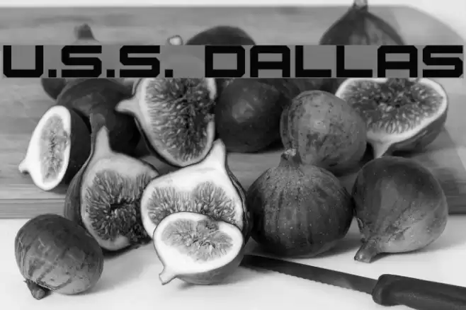 U.S.S. Dallas Шрифта examples
