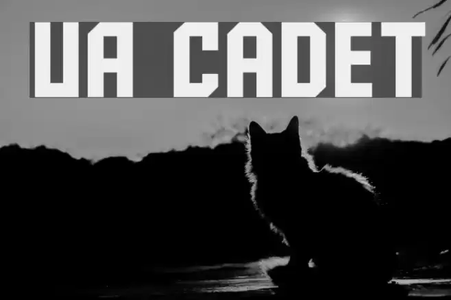 UA Cadet Font examples