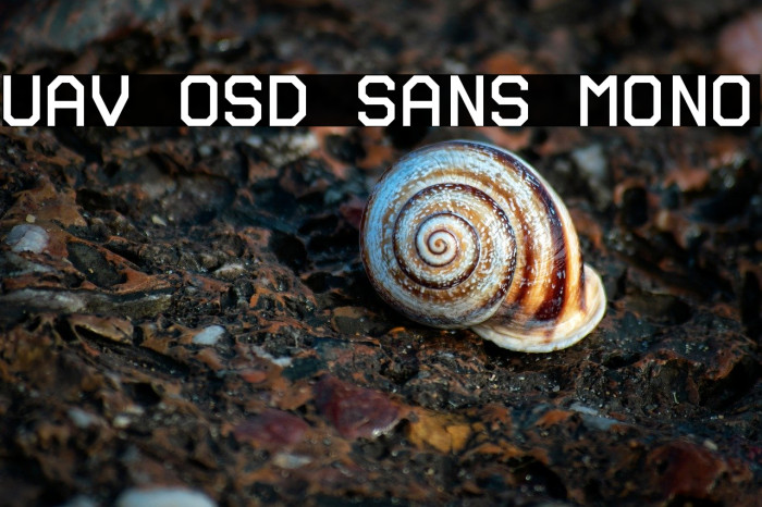 UAV OSD Sans Mono Example 3