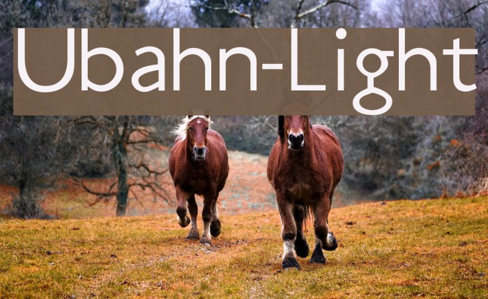 Ubahn-Light Font examples