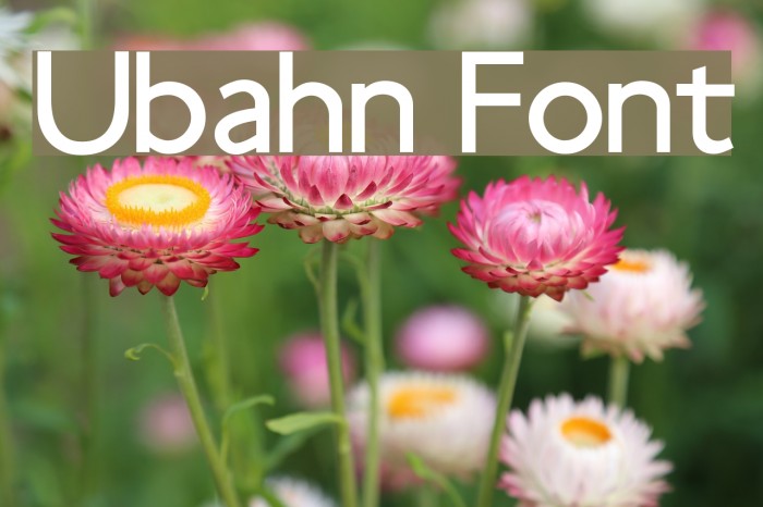 Ubahn Font examples