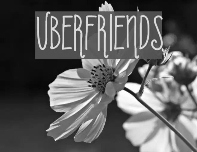 Uberfriends Font examples