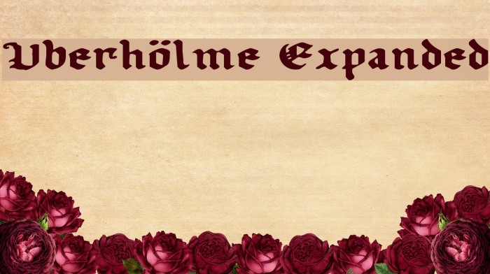 Uberhölme Expanded Font examples
