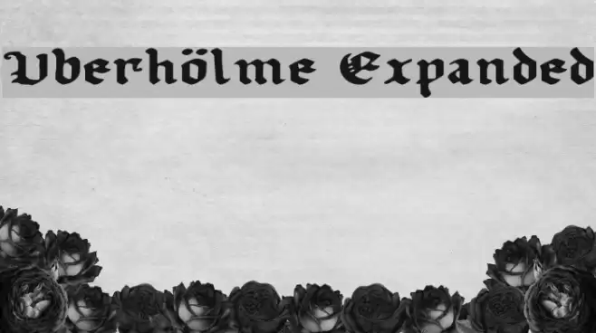 Uberhölme Expanded フォント examples