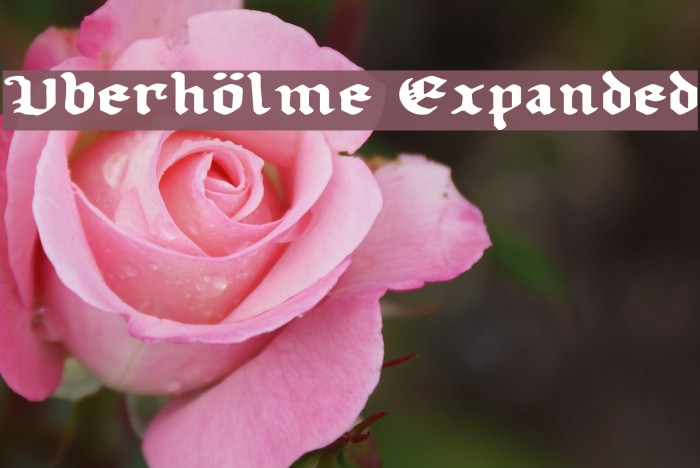 Uberhölme Expanded Font examples