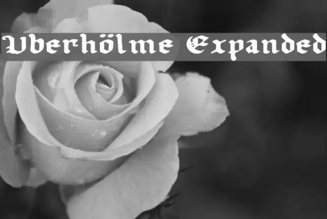 Uberhölme Expanded フォント examples