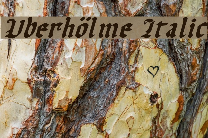 Uberhölme Italic Font examples
