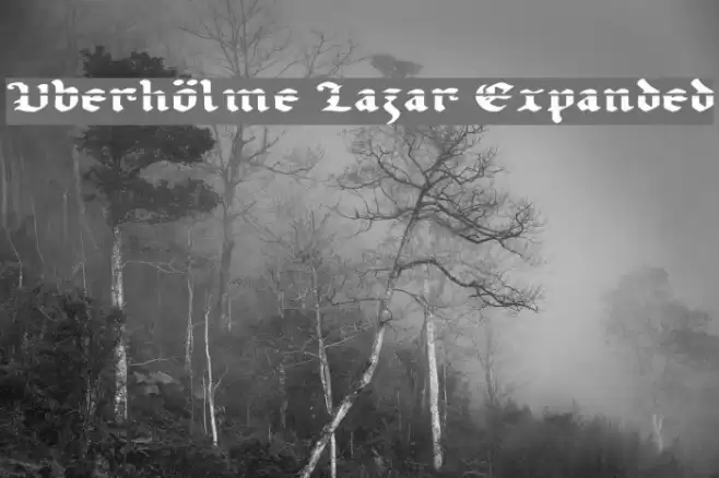 Uberhölme Lazar Expanded Caratteri examples
