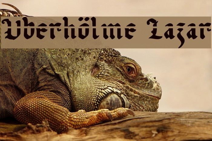 Uberhölme Lazar Polices examples