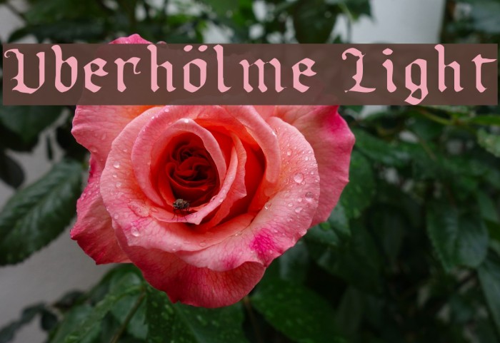 Uberhölme Light Font examples