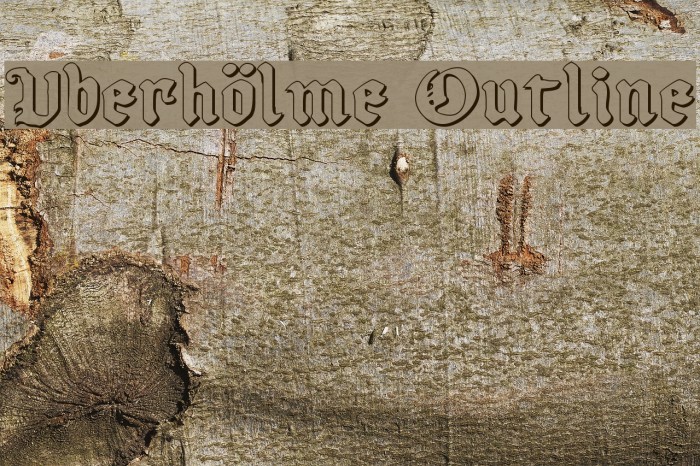 Uberhölme Outline Polices examples