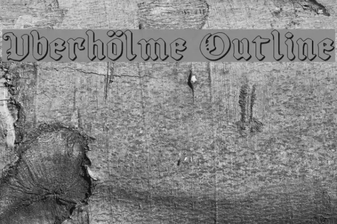 Uberhölme Outline Polices examples