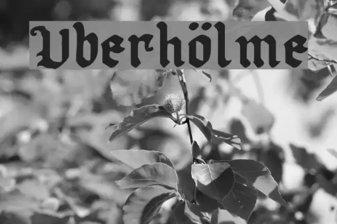 Uberhölme Fuentes examples