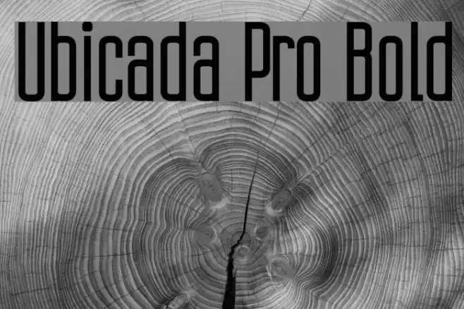 Ubicada Pro Bold Font examples