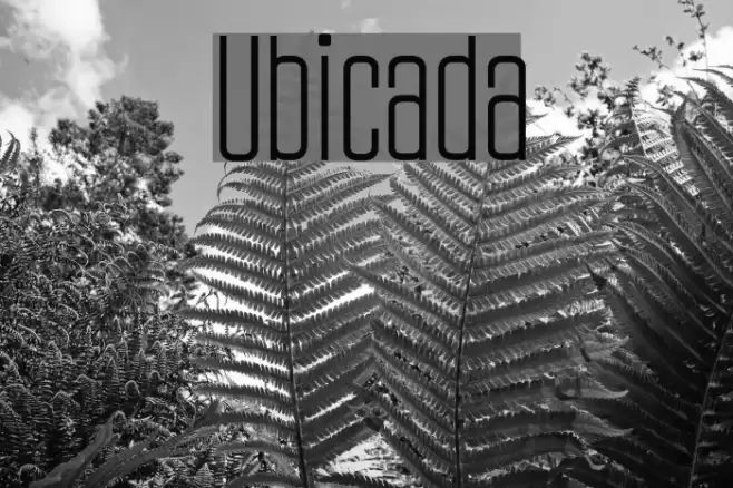 Ubicada Font examples