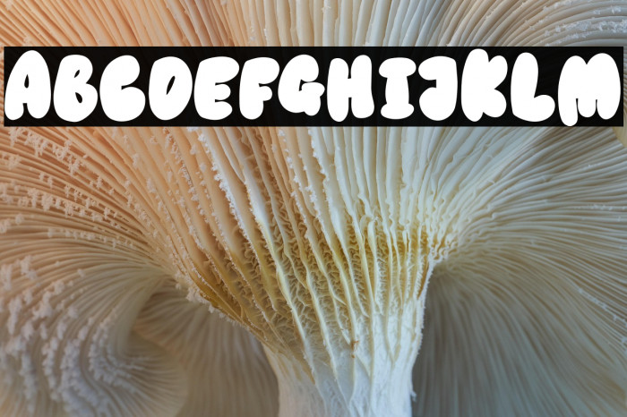 Ubie Free Trial Example 2