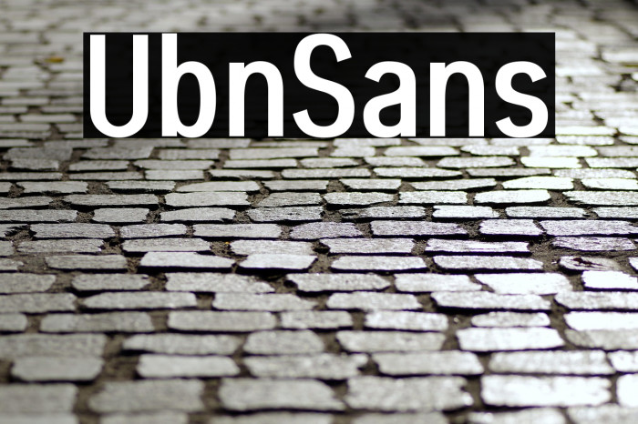 Ubin Sans Example 1