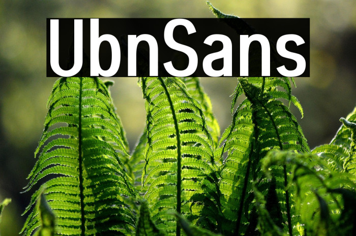 Ubin Sans Example 2
