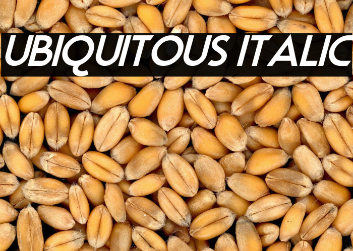 Ubiquitous Italic Example 1