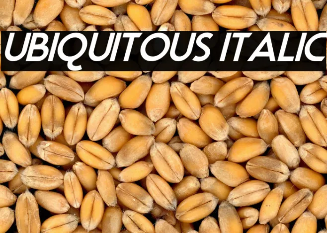 Ubiquitous Italic Example 1