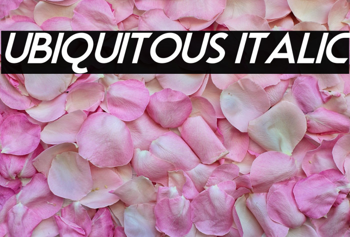 Ubiquitous Italic Example 3