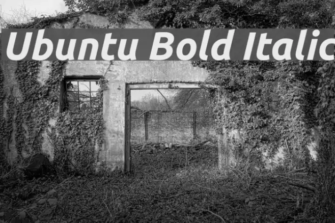 Ubuntu Bold Italic Font examples
