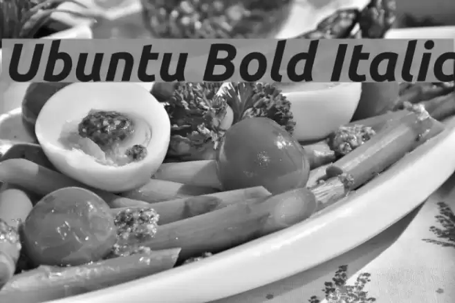 Ubuntu Bold Italic Font examples