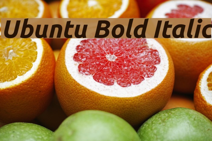 Ubuntu Bold Italic Font examples