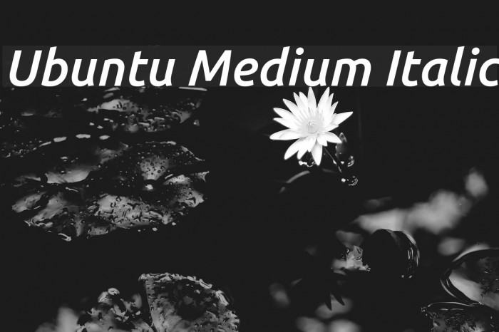 Ubuntu Medium Italic Font examples