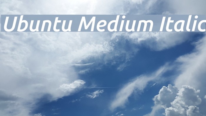 Ubuntu Medium Italic Font examples