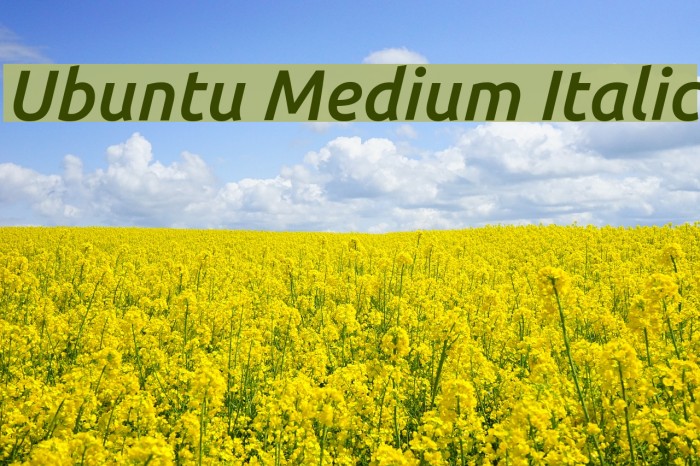 Ubuntu Medium Italic Font examples
