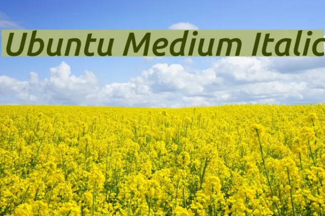 Ubuntu Medium Italic Example 3