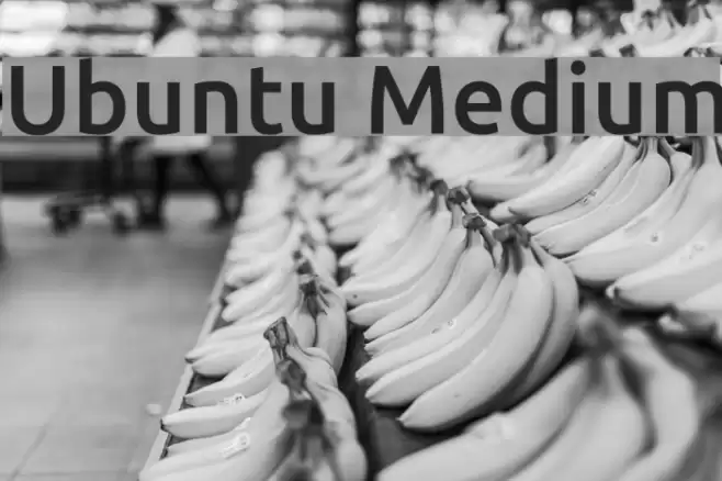 Ubuntu Medium Font examples
