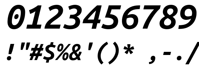 Ubuntu Mono Bold Italic Font OTHER CHARS
